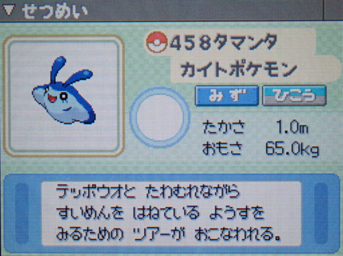 タマンタ プラチナ ポケモンずかん