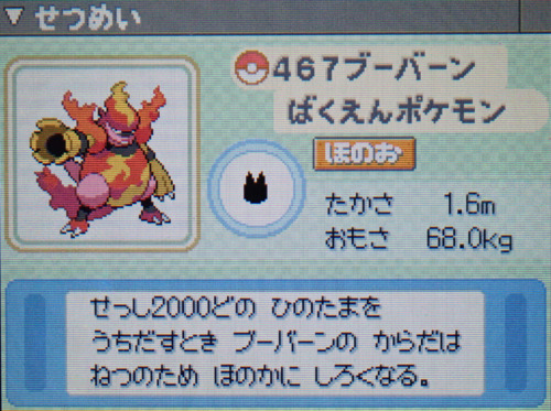 ブーバーン プラチナ ポケモンずかん