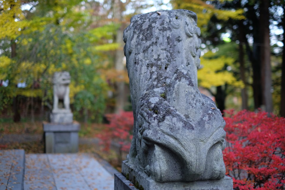 山梨県山中湖村 山中浅間神社の狛犬