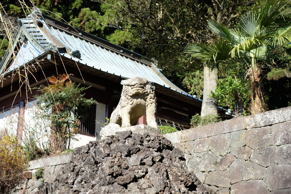 静岡・村山浅間神社の狛犬（静岡狛犬紀行・前編）
