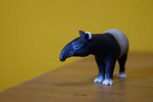 バクのフィギュア特集!マレーバク・ベアードバク・アメリカバク・ヤマバクも!