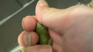 Thumbnail of post image 061