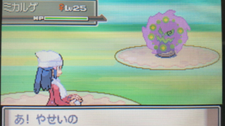 Thumbnail of post image 000