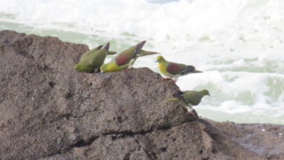 Thumbnail of post image 024