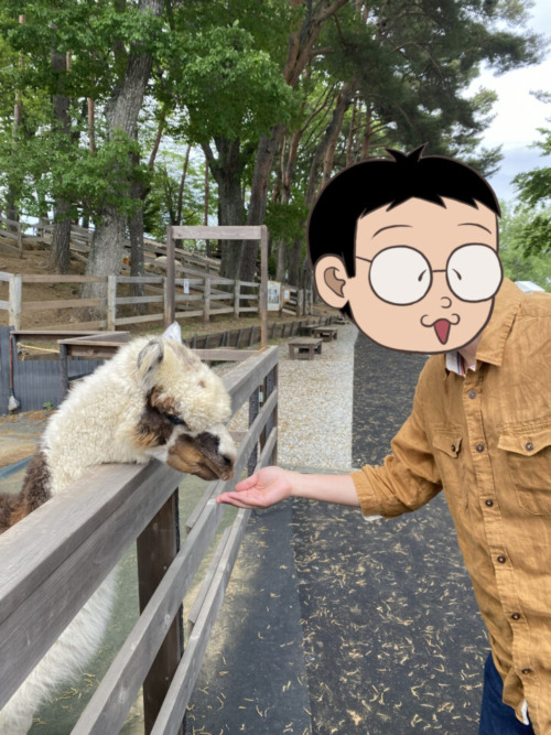 長野県一泊二日 湿原とカレーとアルパカの旅