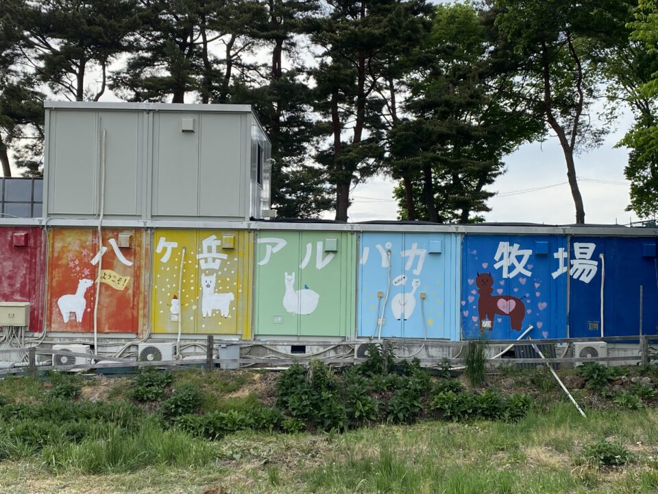 長野県一泊二日 湿原とカレーとアルパカの旅
