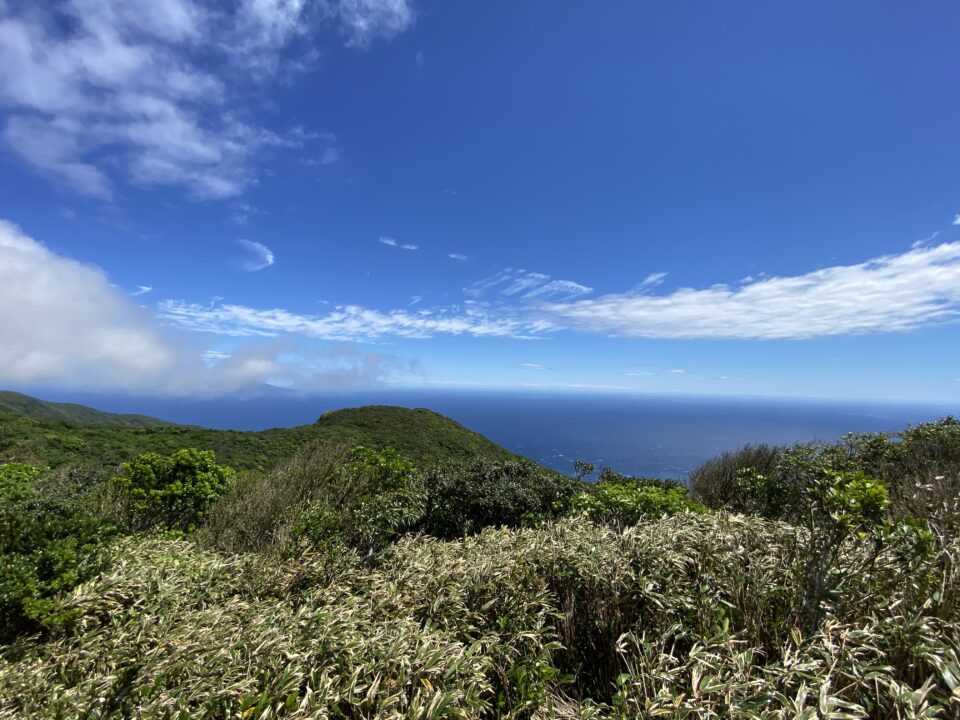 御蔵島