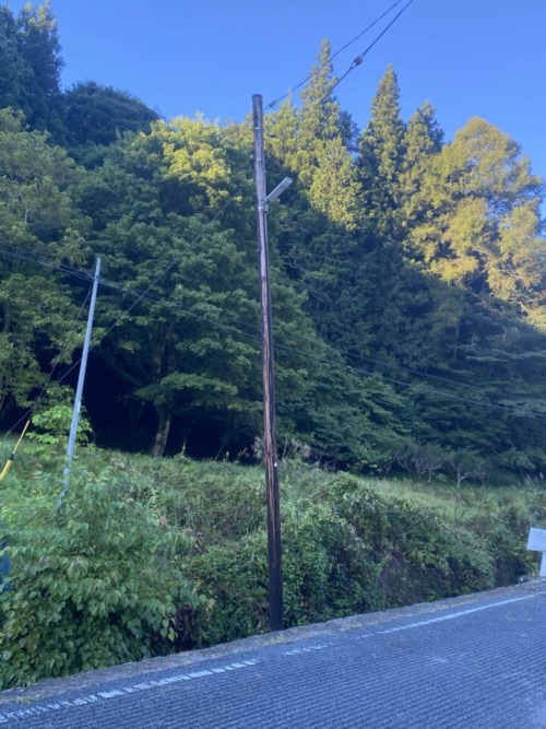 木の電信柱 太良峠