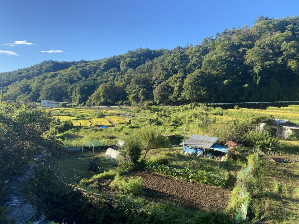 棚田 太良峠