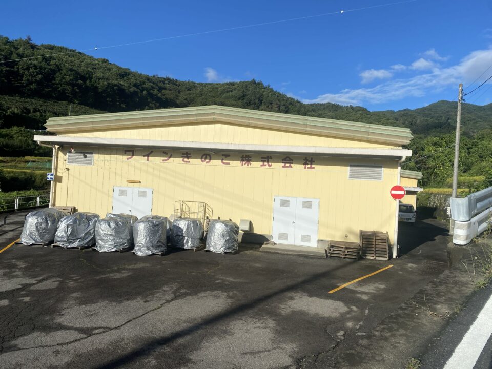 太良峠・初の全コース往復!