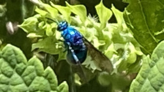 Thumbnail of post image 132