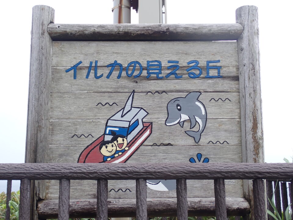 イルカの見える丘