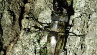 Thumbnail of post image 002