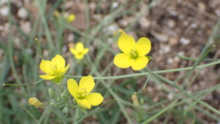 Thumbnail of post image 188