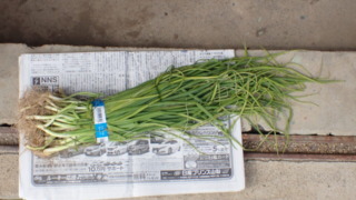 Thumbnail of post image 092