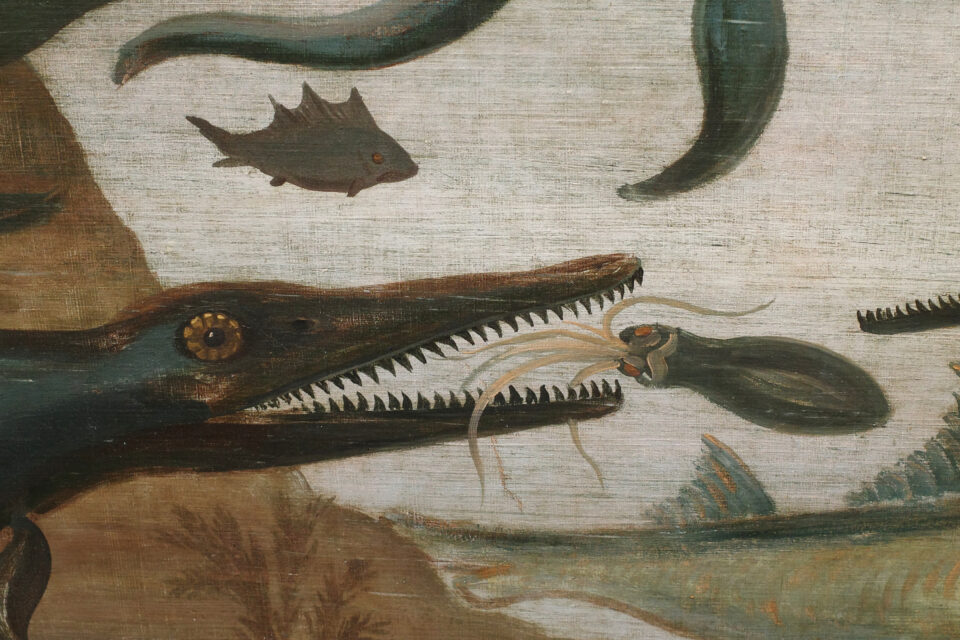 魚竜 イカ 復元画