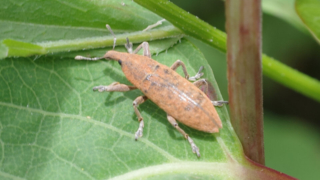 Thumbnail of post image 021