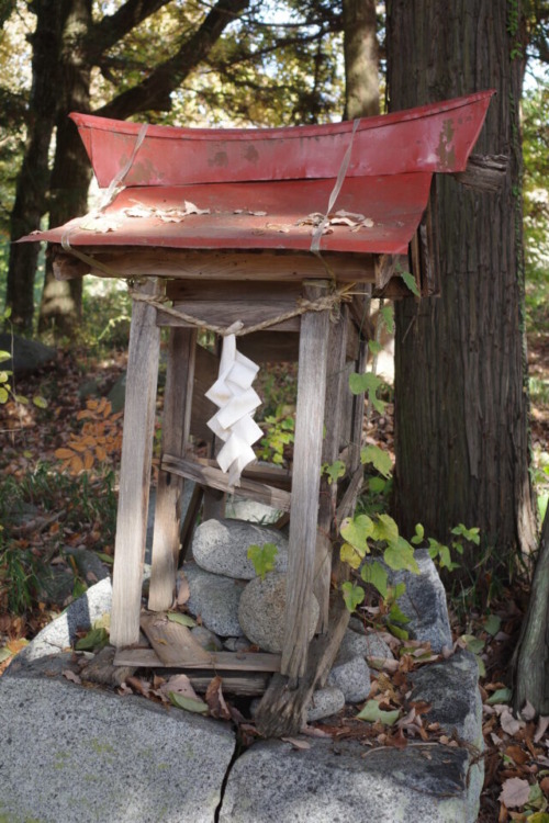 丸石現地調査@山梨県甲州市塩山上粟生野