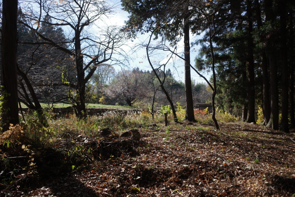 丸石現地調査@山梨県甲州市塩山上粟生野