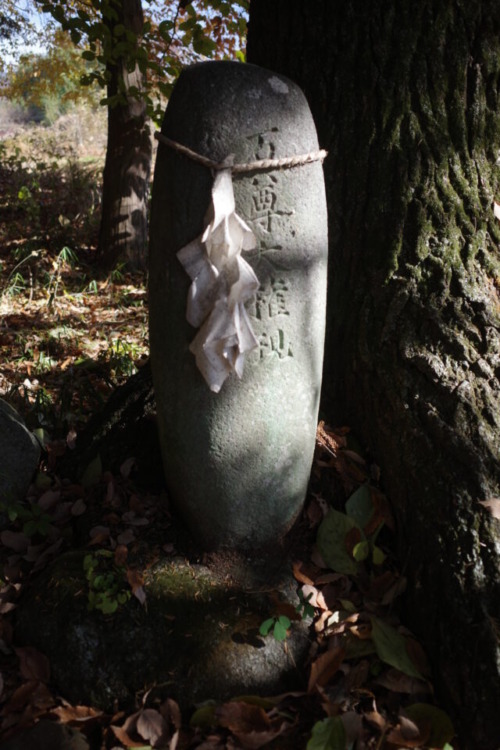 丸石現地調査@山梨県甲州市塩山上粟生野