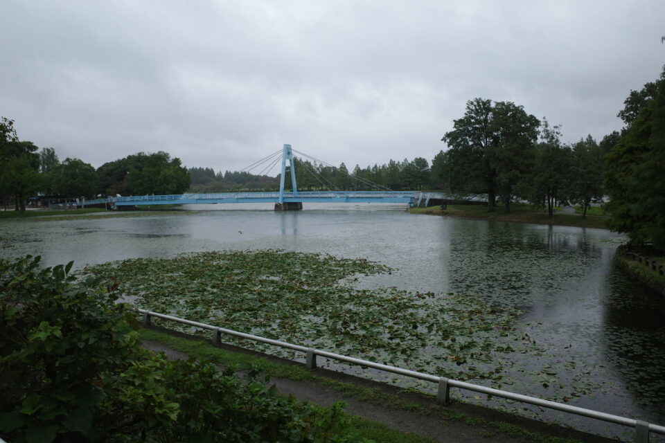 葛飾区水元公園