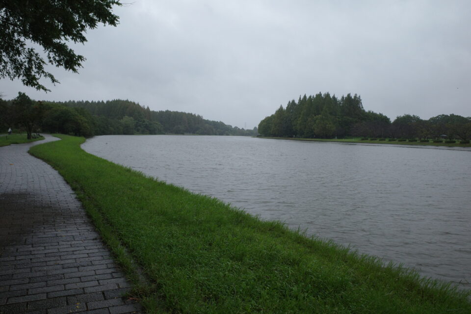 葛飾区水元公園