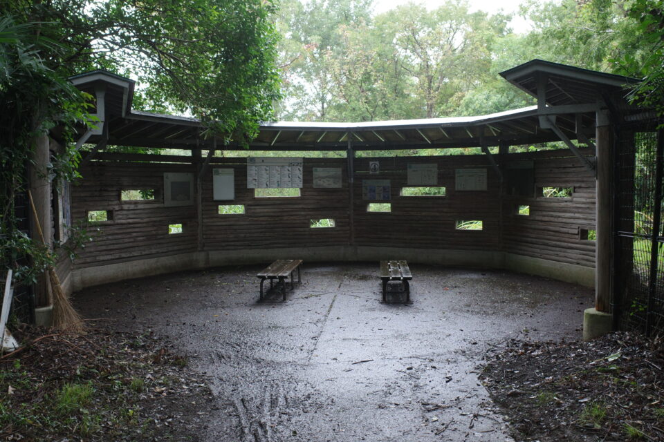バードサンクチュアリ 葛飾区水元公園