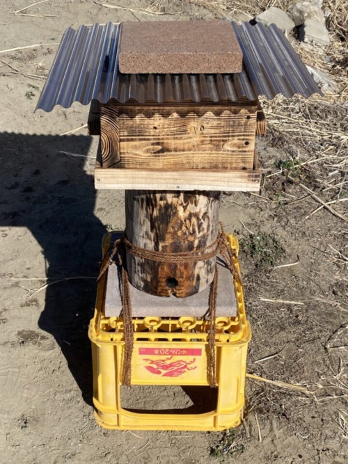 ニホンミツバチ　巣箱