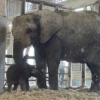 安佐動物公園 asazoo