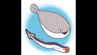 Thumbnail of post image 137